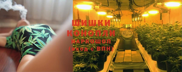 трава Аркадак