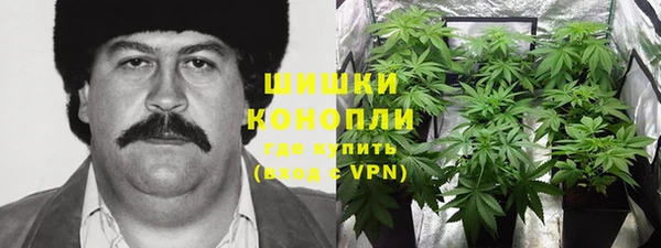 трава Аркадак